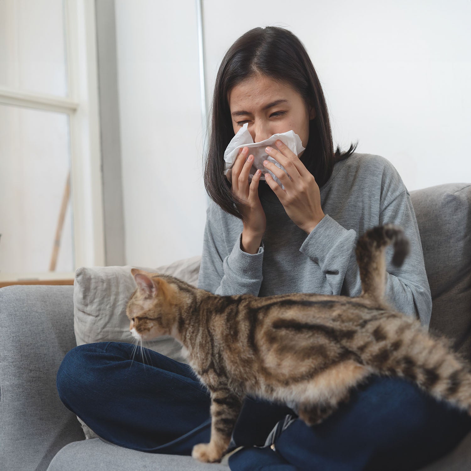 Are You at Risk? The Surprising Dangers of Cat Litter Instachew