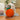 VT-6970279012582_Tangerine_Cat_Scratching_Ball