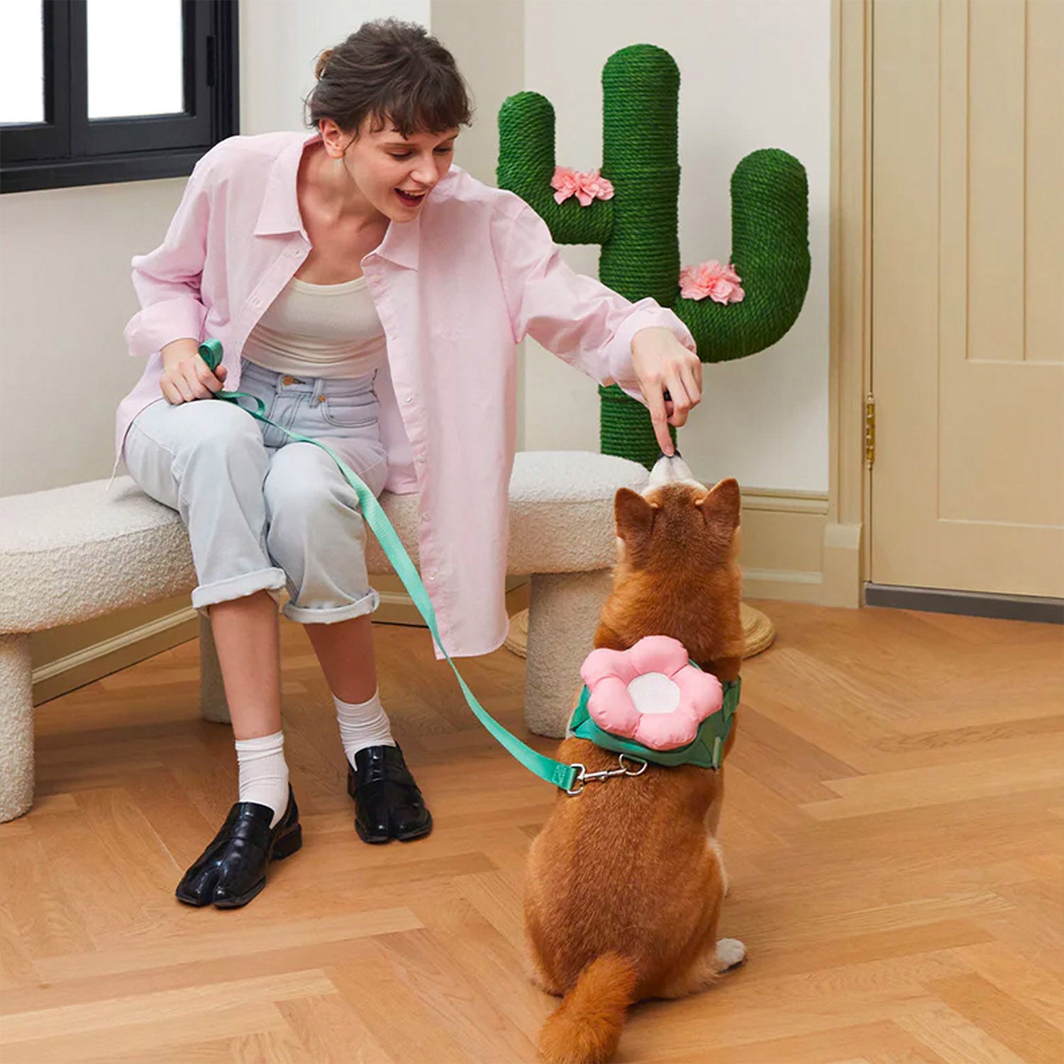 Flora Dog Leash and Collar with Harness Backpack