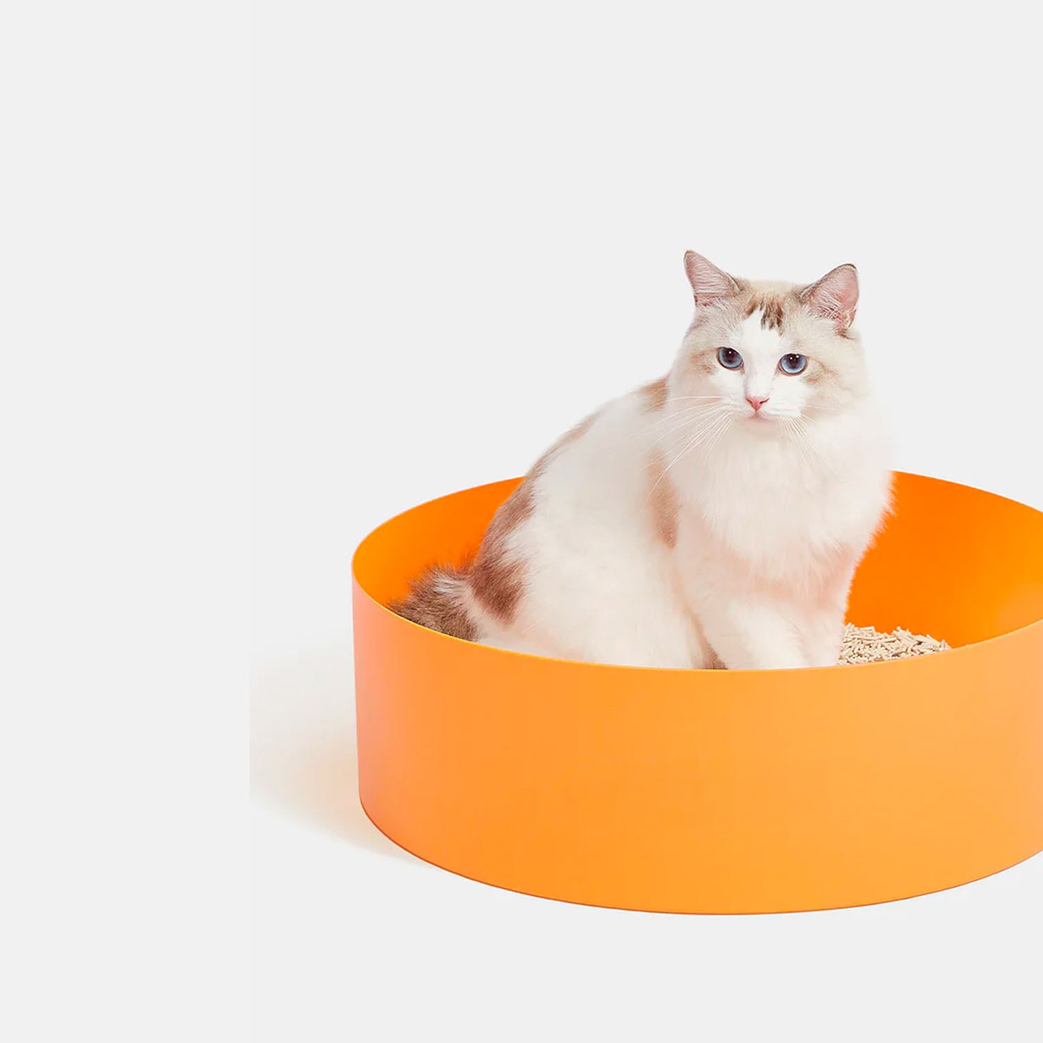 Tangerine Cat Litter Box