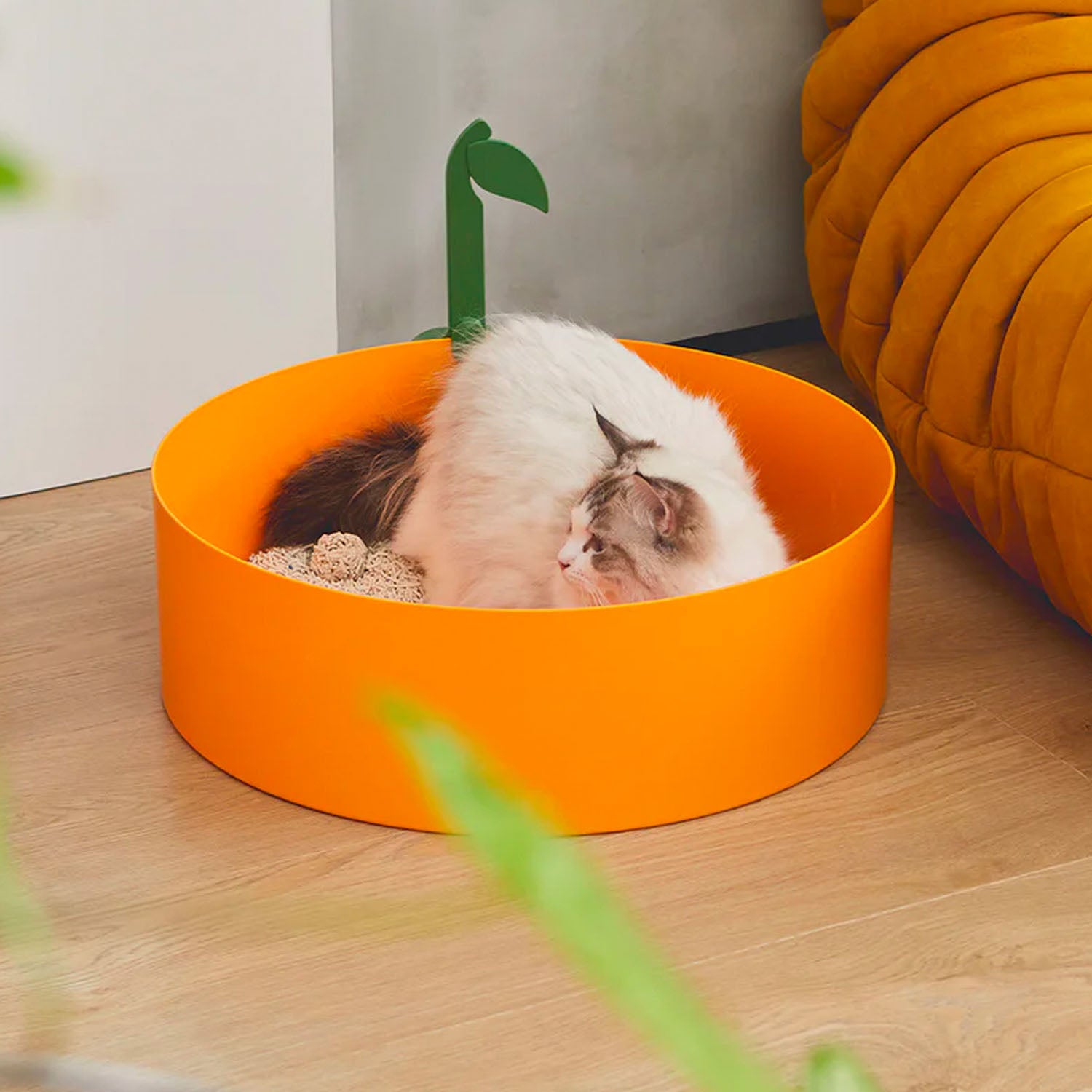 Tangerine Cat Litter Box