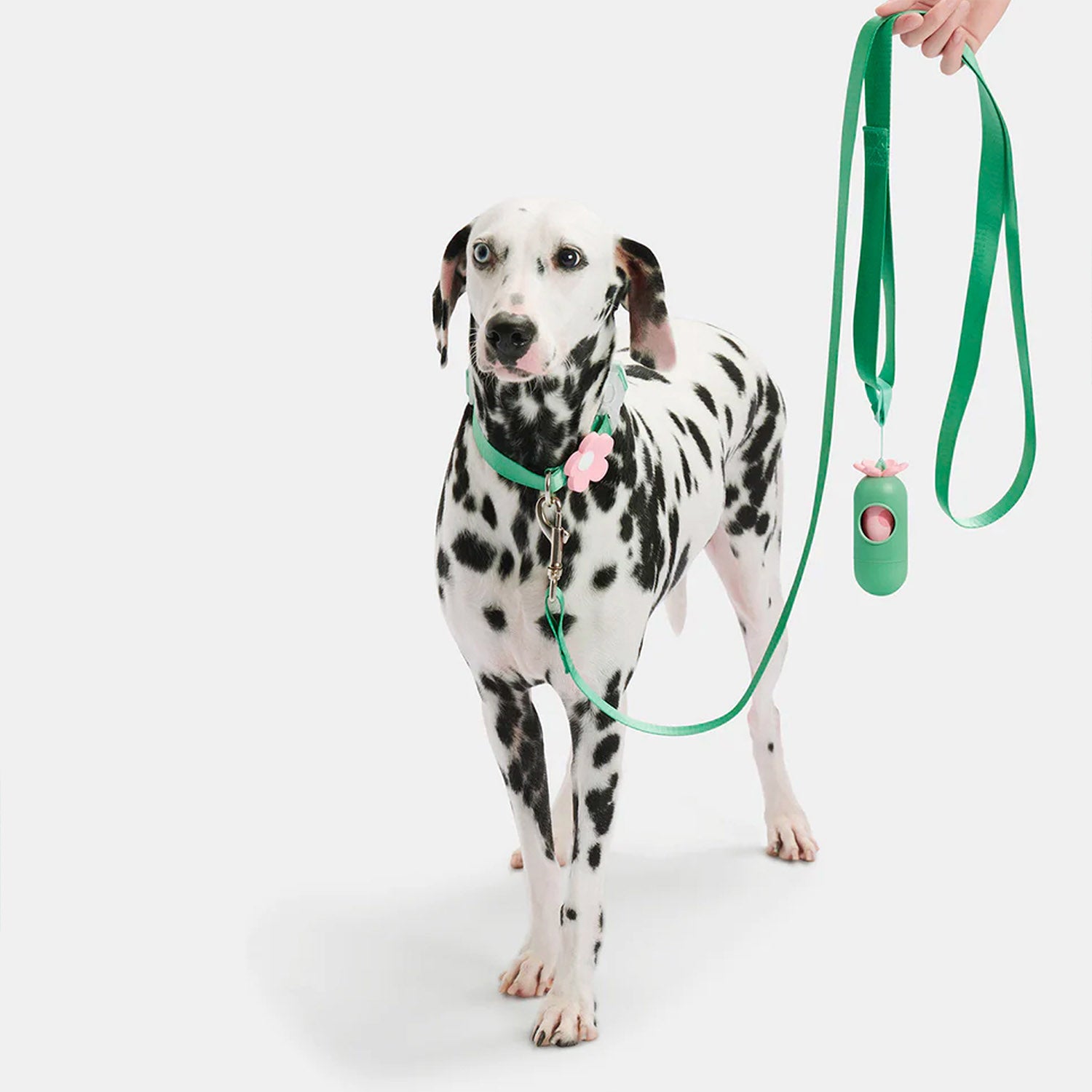 Flora Dog Leash and Collar with Harness Backpack