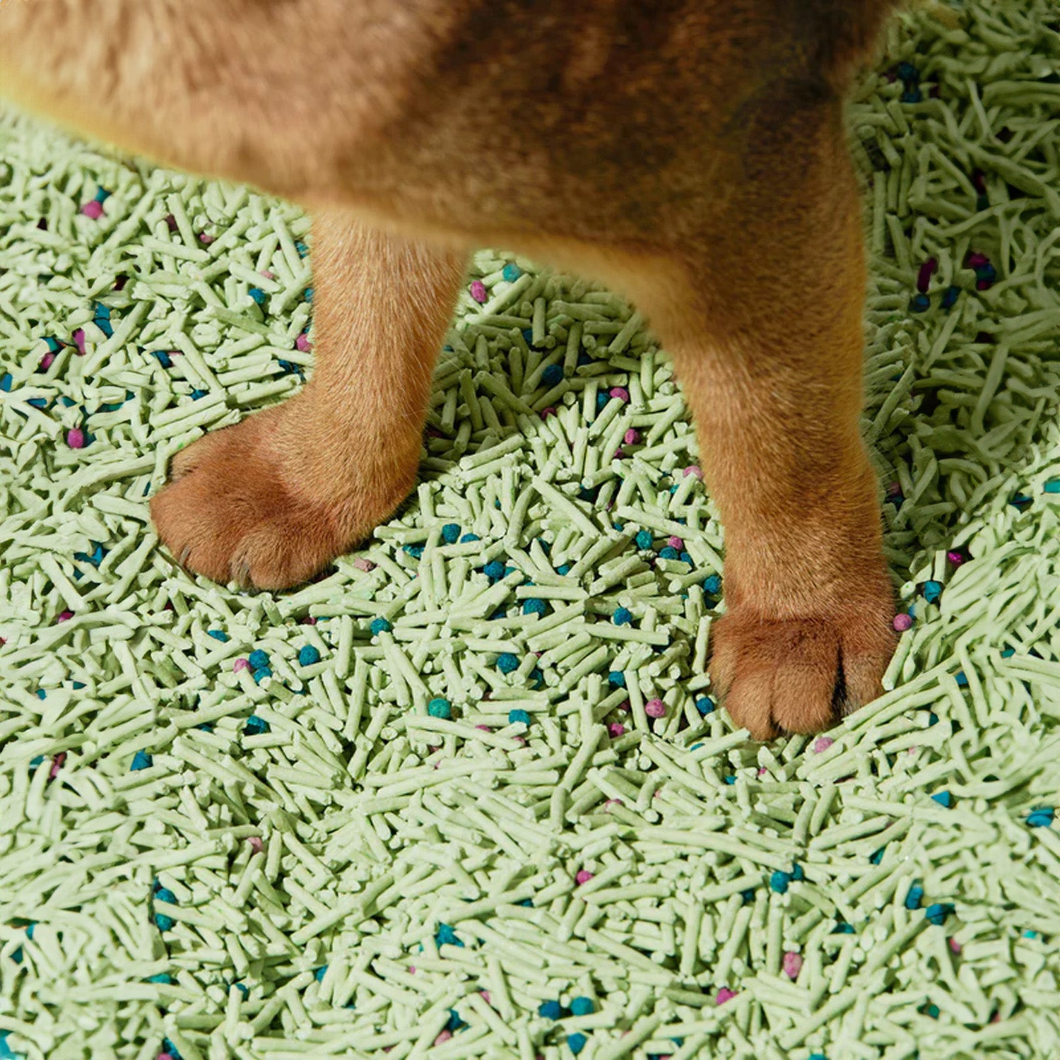 Instant Clumping Deodorizing Tofu Cat Litter - 4pk