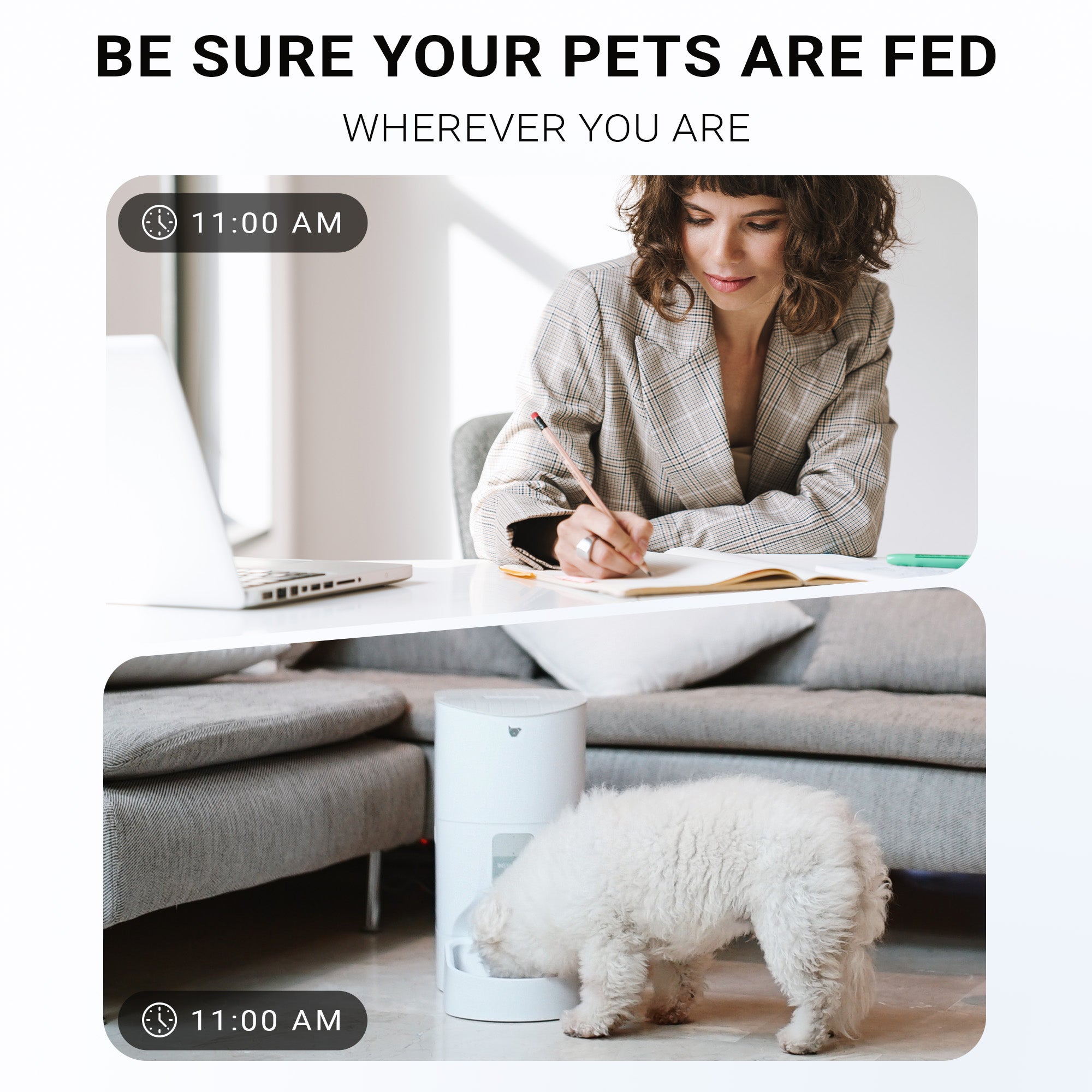 IC081MXW_purechew_max_smart_pet_feeder