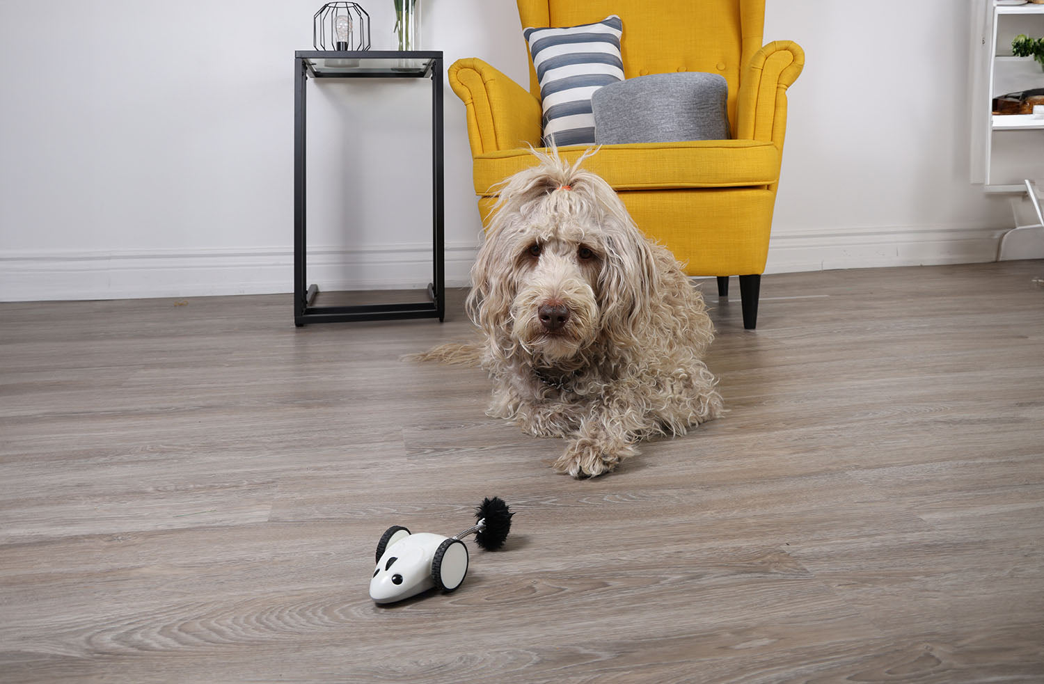 IC127BK_purechase_mouse_toy_dog_fun