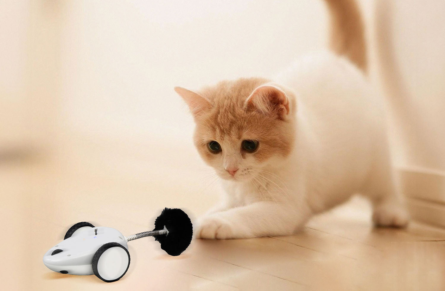 IC127BK_purechase_mouse_toy_flip_mode