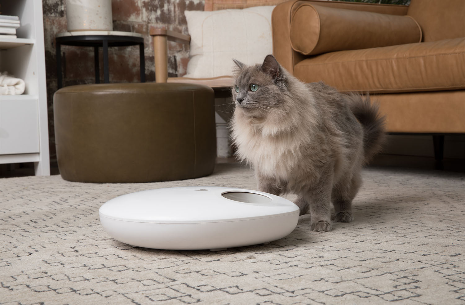 IC813_purechew_mix_wet_and_dry_feeder_schedule