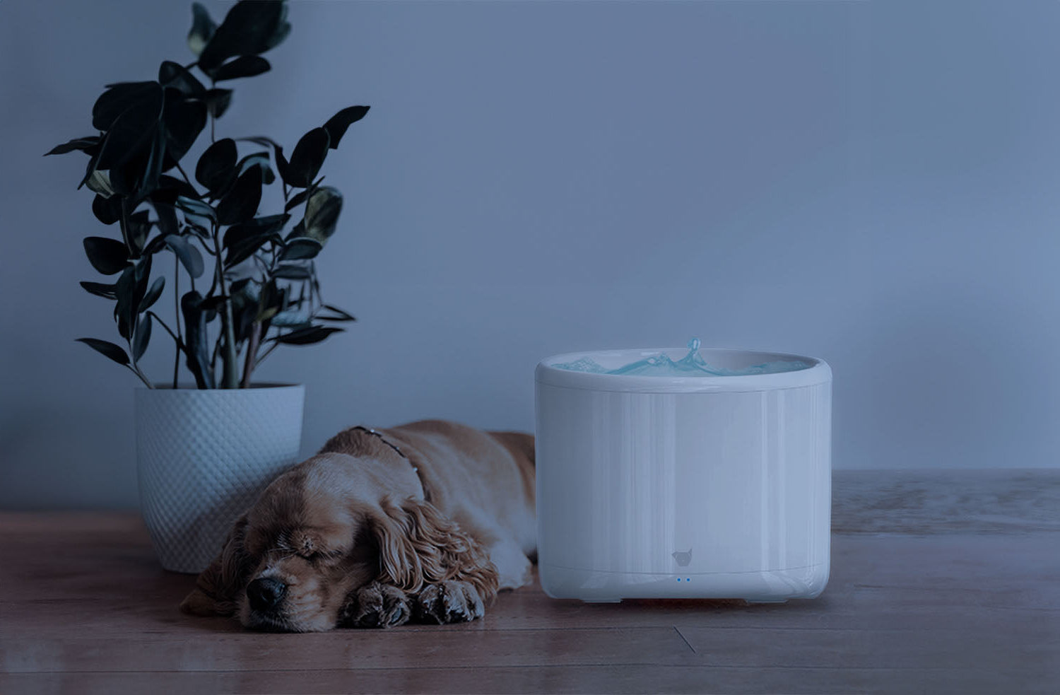 IC868_purrflow_smart_pet_fountain_ultra_quiet