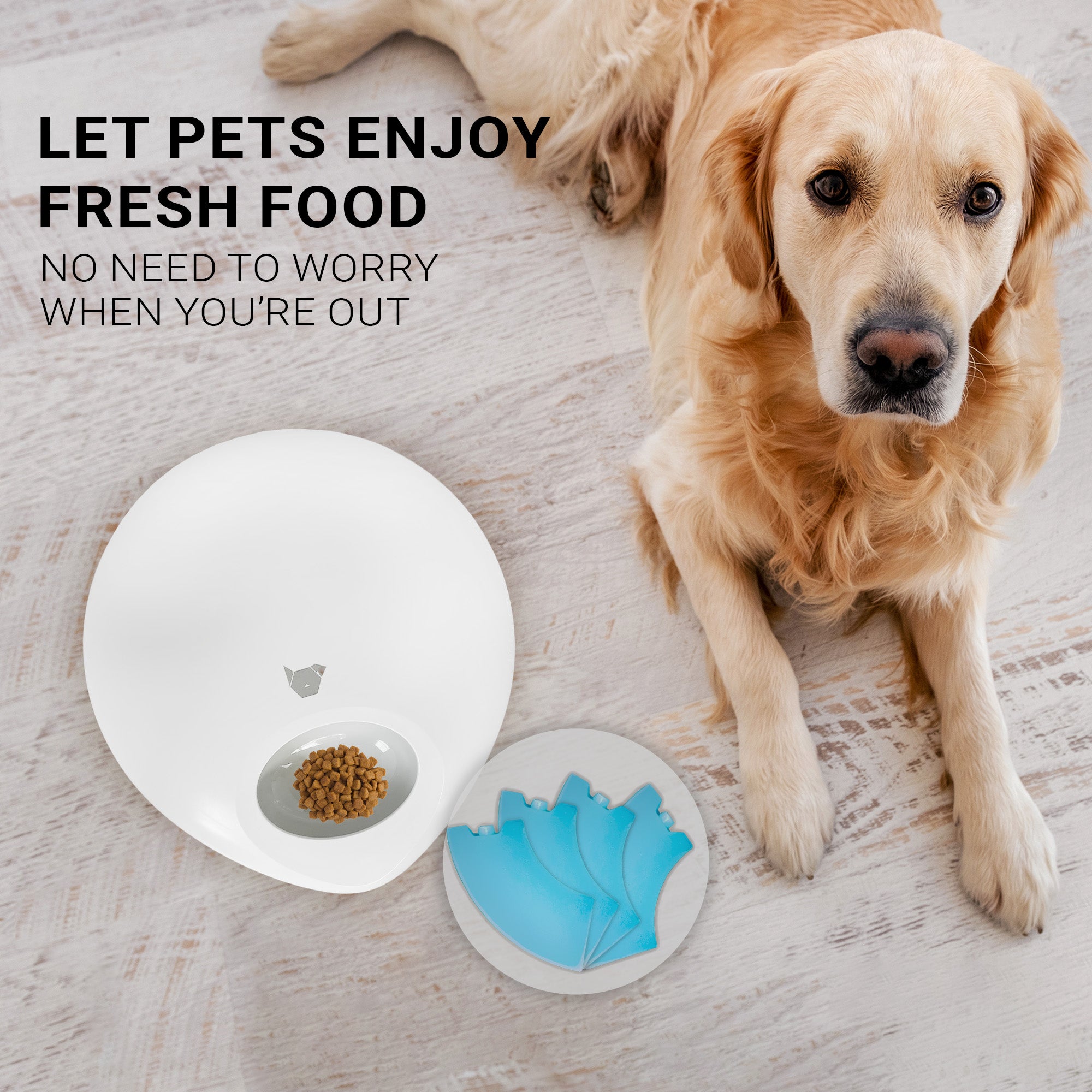 IC882_purrflow_ice_packs