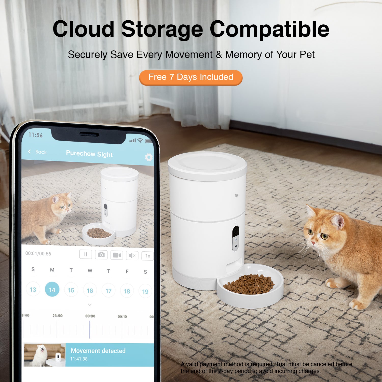 Purechew Sight 4L Smart App Pet Feeder for Cats and Dogs with HD Camera