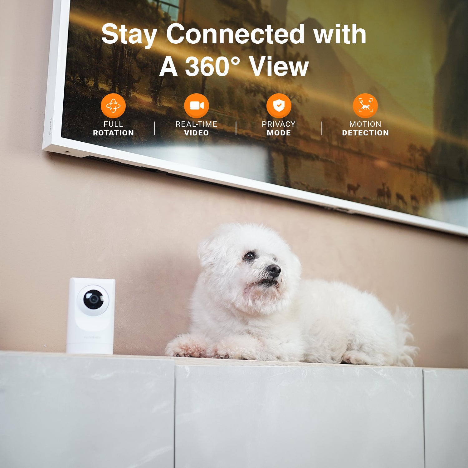 Purrsight 360Β° Smart App Pet Camera with Night Vision and 2 Way Audio 3pc Bundle