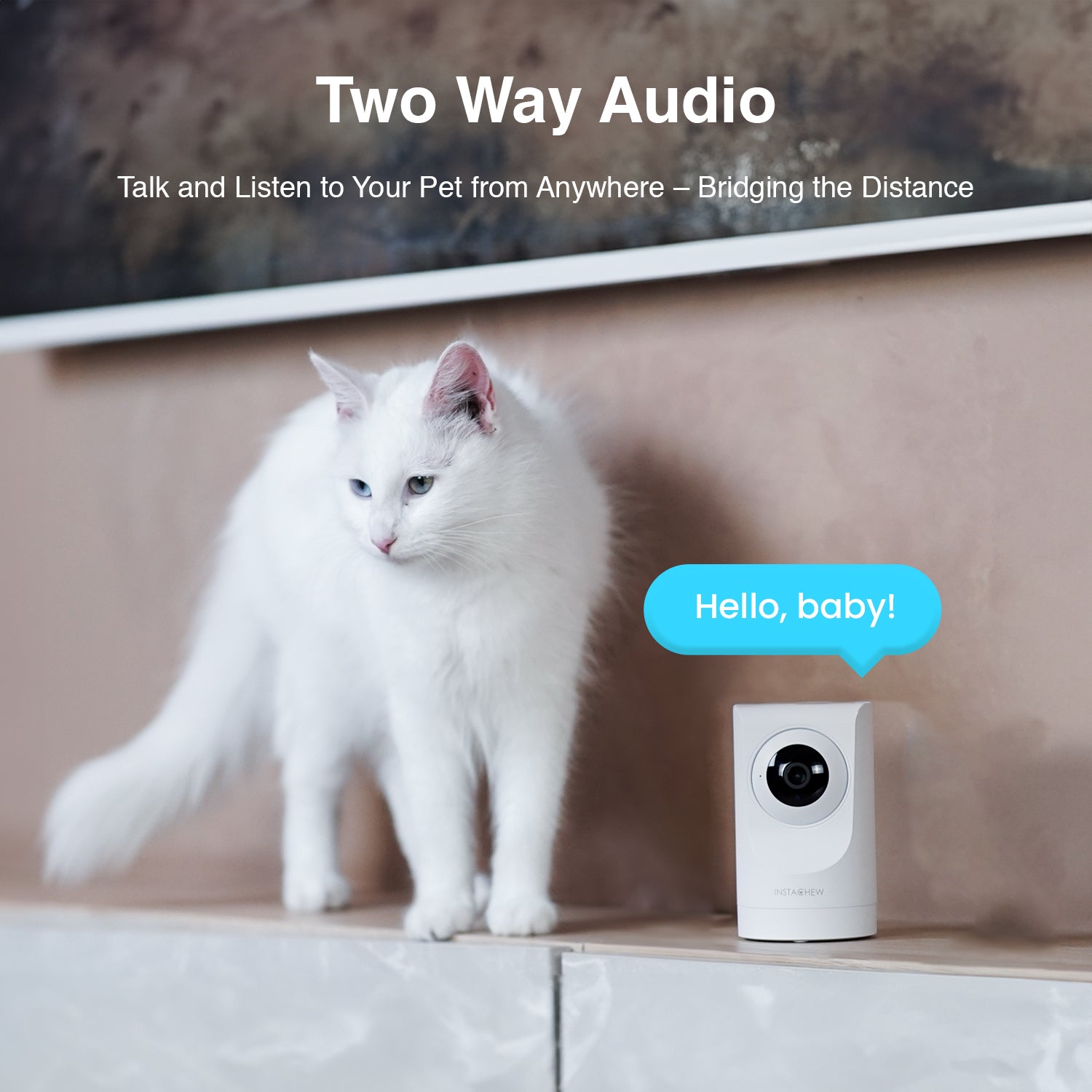 Purrsight 360Β° Smart App Pet Camera with Night Vision and 2 Way Audio 3pc Bundle