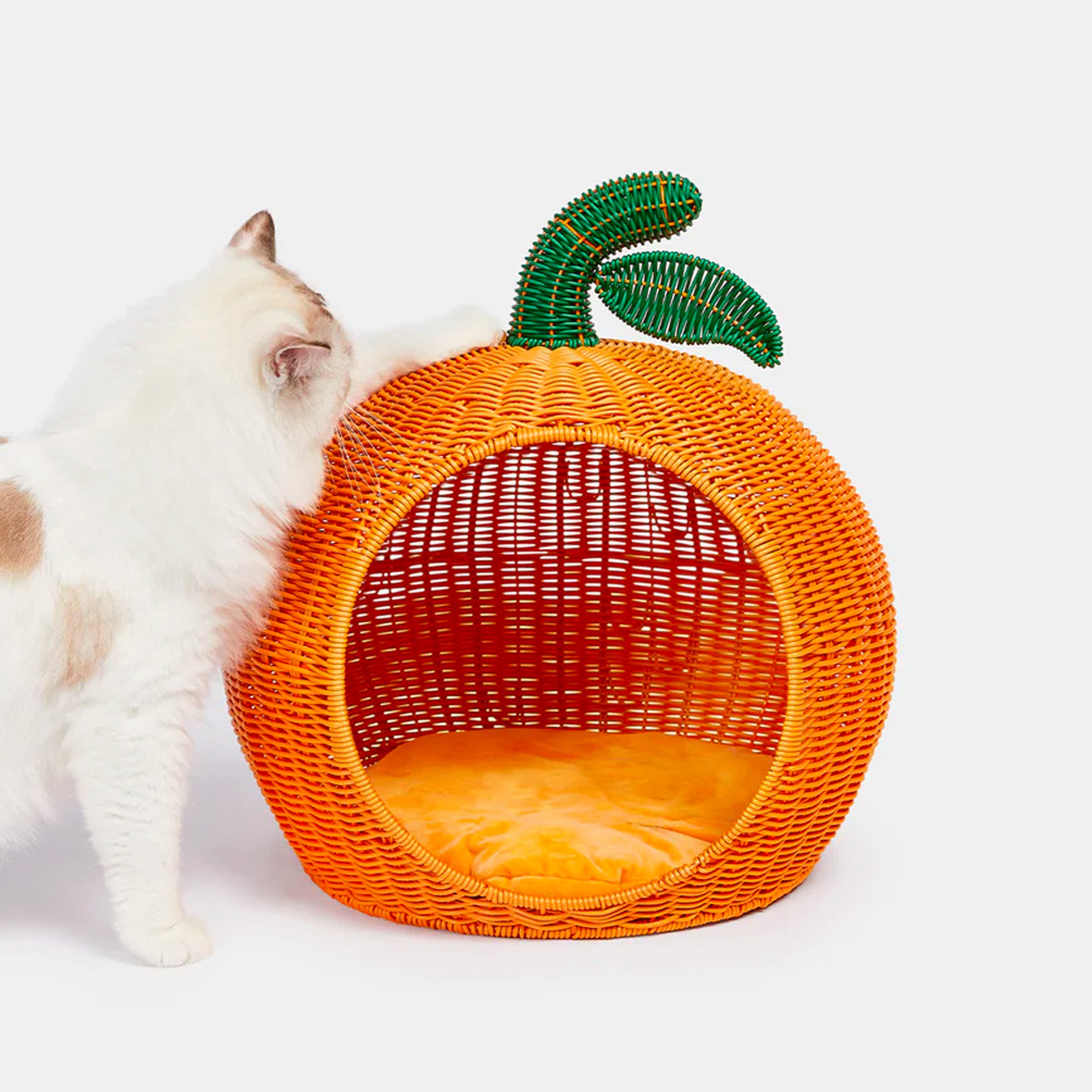 Tangerine Rattan Pet Bed with Plush Cushion