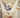 Household Items That Can Harm Your Cat