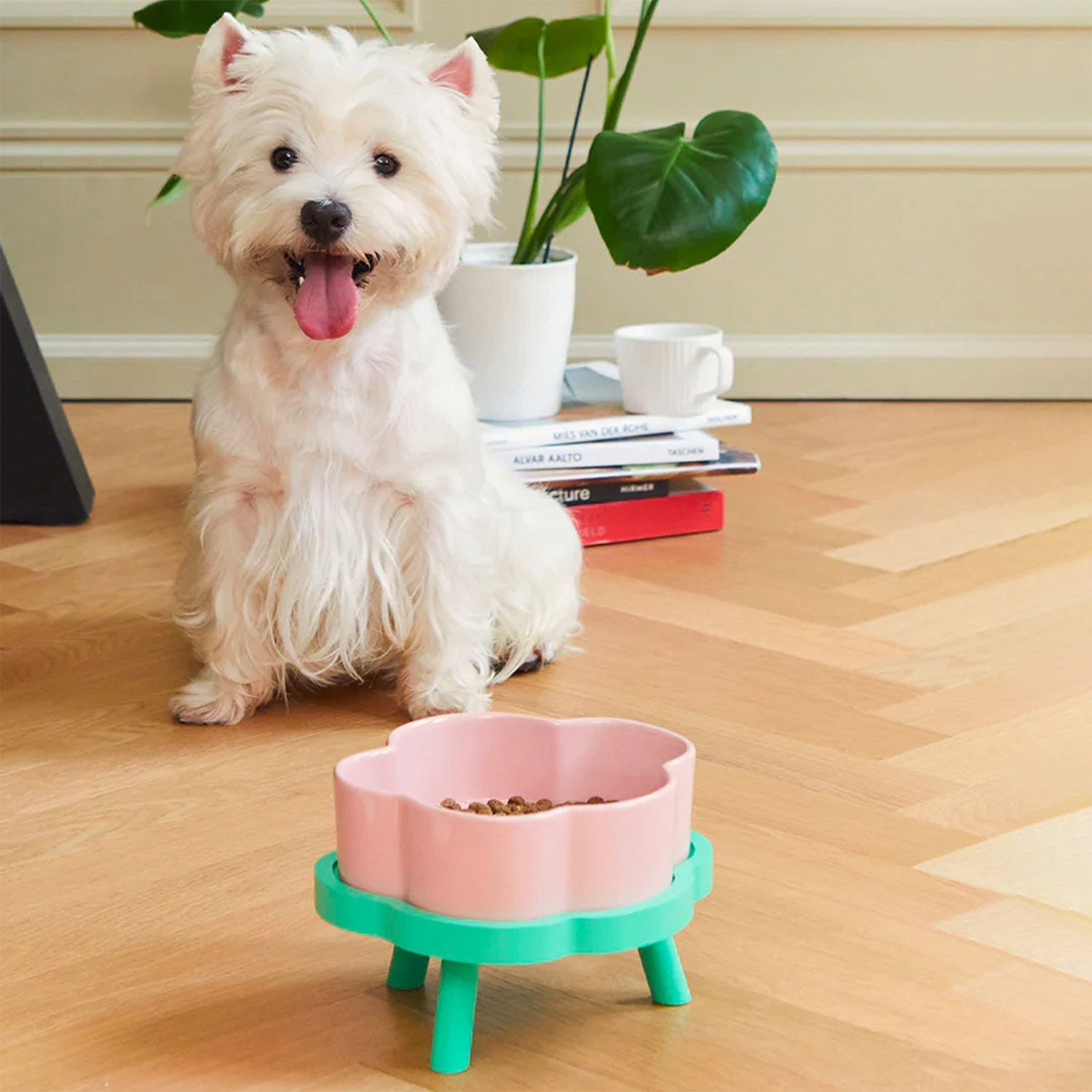 Automatic Pet Feeders & Fountains