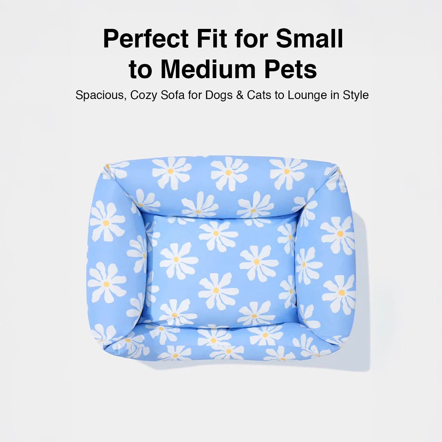 Daisy Pet Sofa for Cats and Dogs