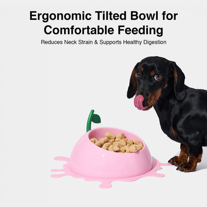 Juicy Fruity Pet Bowl, Spoon and Mat Set