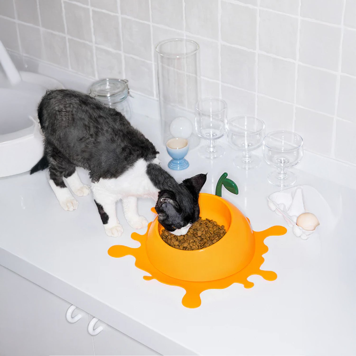 Juicy Fruity Pet Bowl, Spoon and Mat Set