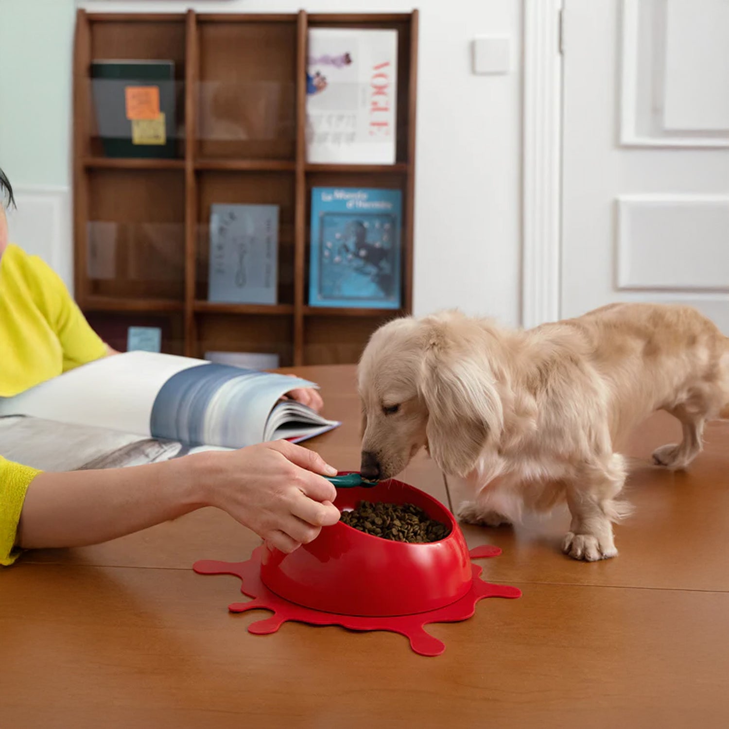 Juicy Fruity Pet Bowl, Spoon and Mat Set