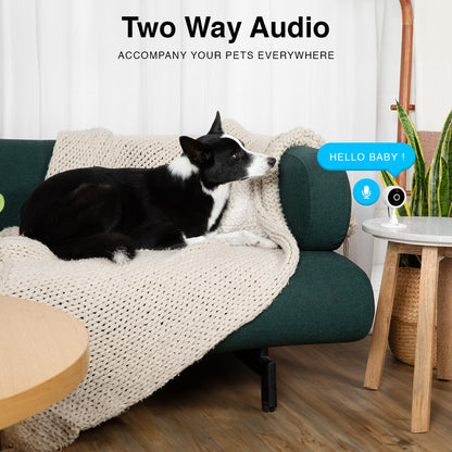 IC137W_purrsight_mini_hd_pet_camera