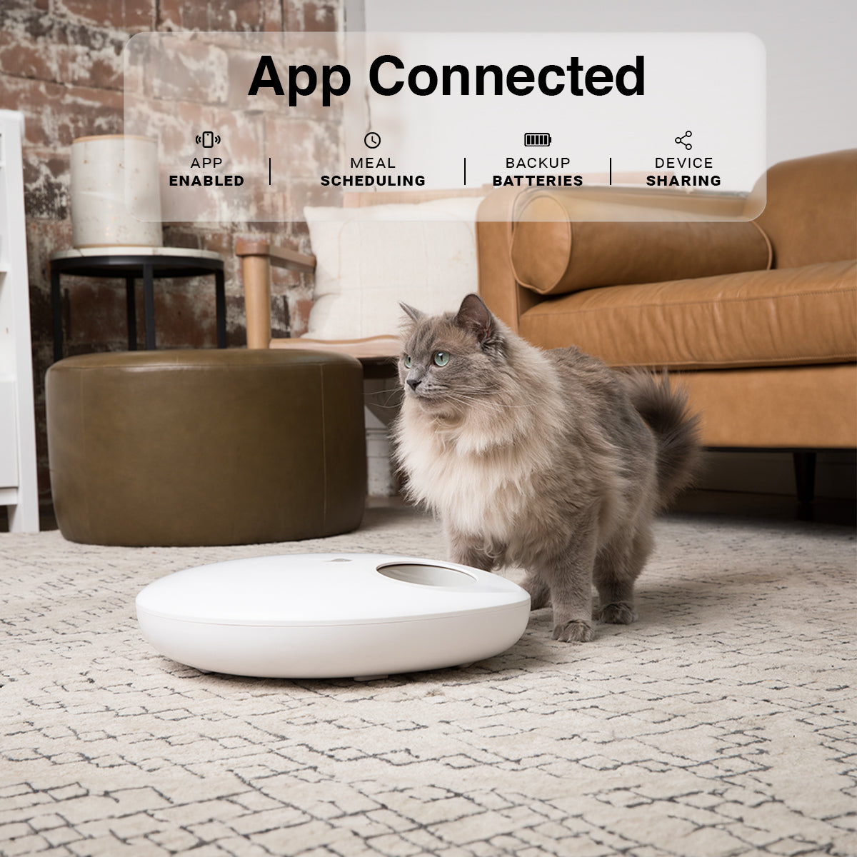 IC813_purechew_mix_smart_feeder