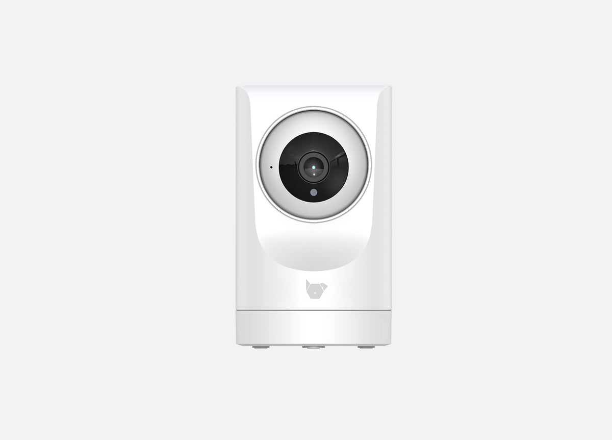 Purrsight 360 Help Center – Instachew