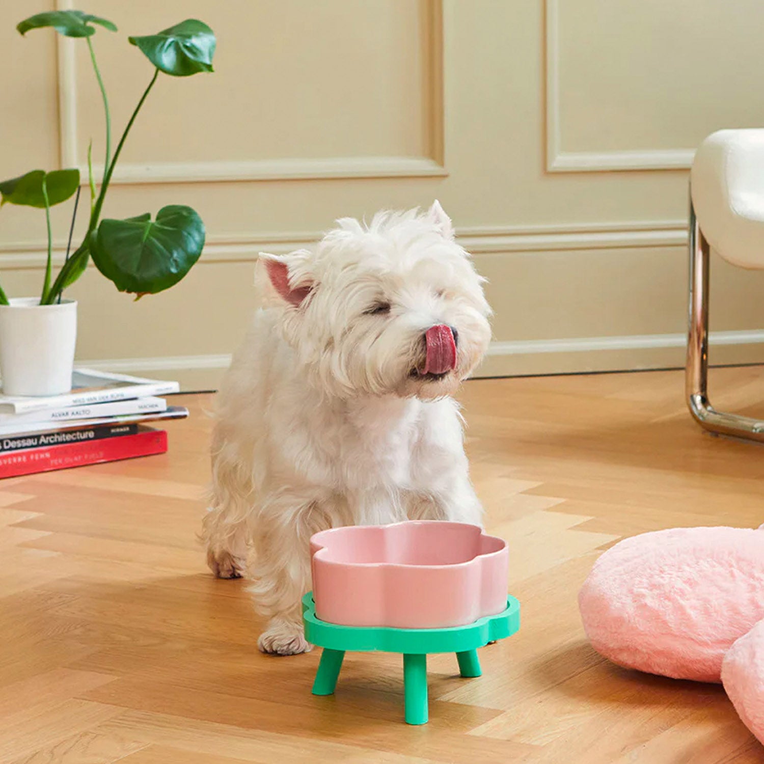 Flora_Ceramic_Pet_Bowl