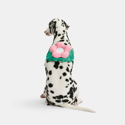 Flora Dog Leash and Collar with Harness Backpack