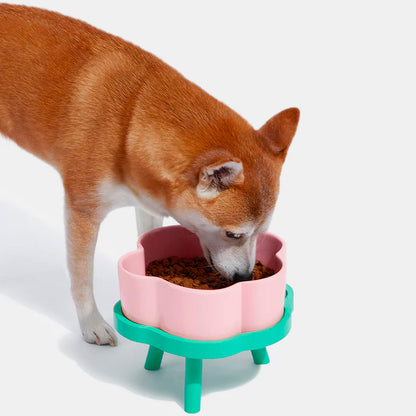 Flora_Ceramic_Pet_Bowl