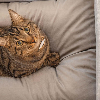 KUMO_Cozy_Linen_Pet_Bed