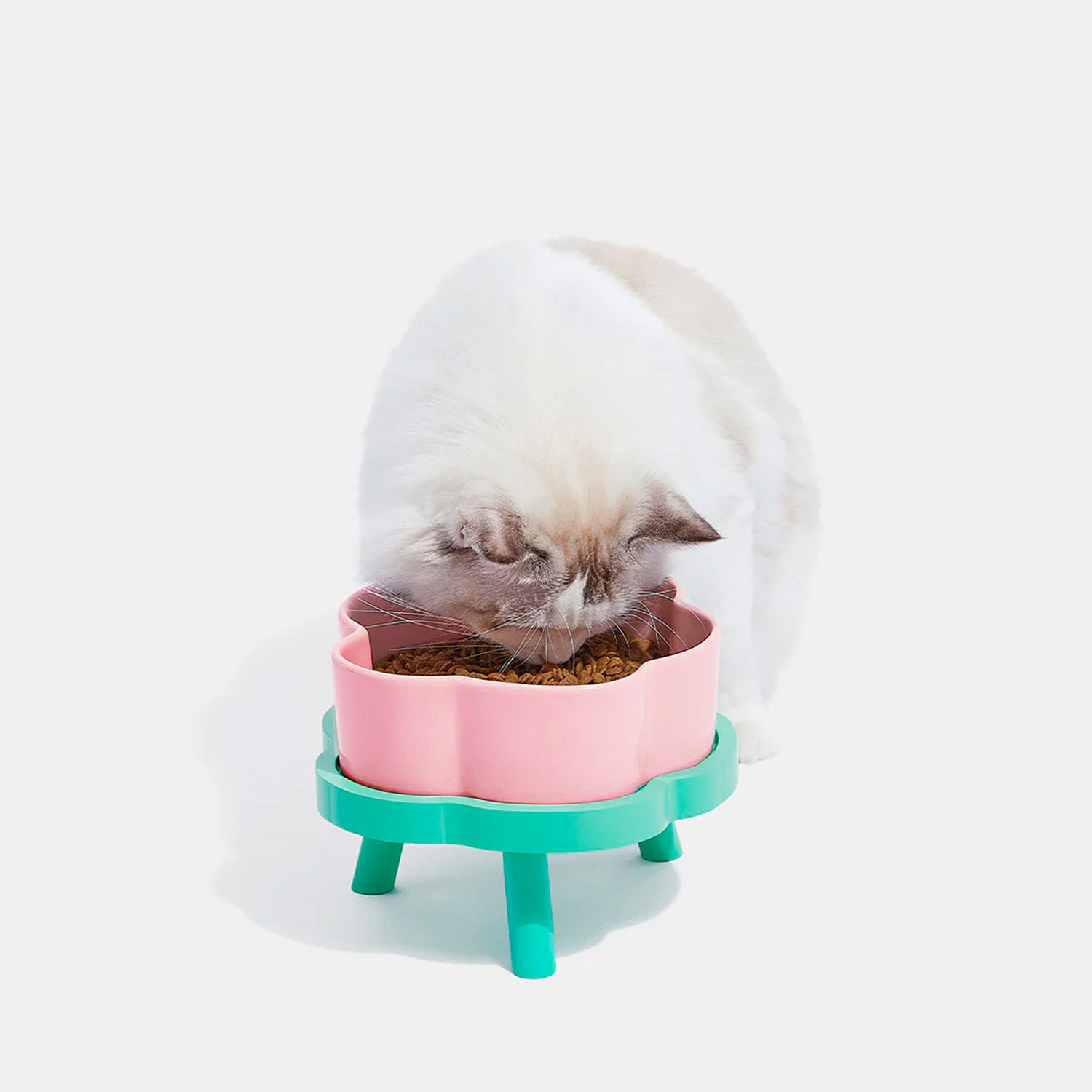 Flora_Ceramic_Pet_Bowl