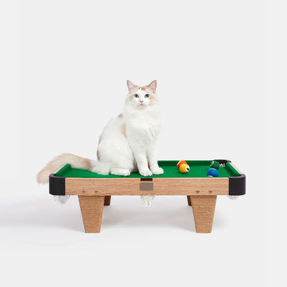 Meownooker Mini Pool Table Cat Scratcher and Catnip Toy Set