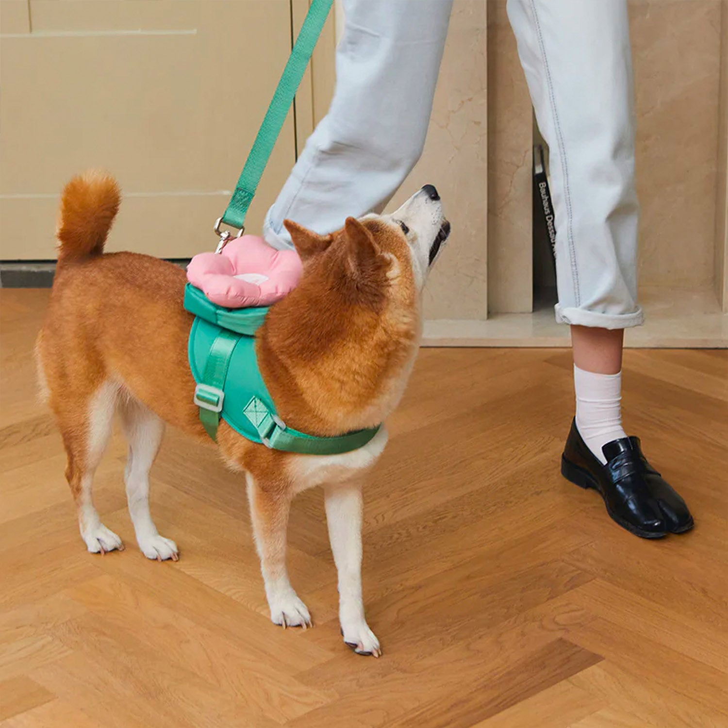 Flora_Dog_Leash_and_Collar_with_Harness_Backpack