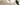 pet_tech_category_banner_without_text