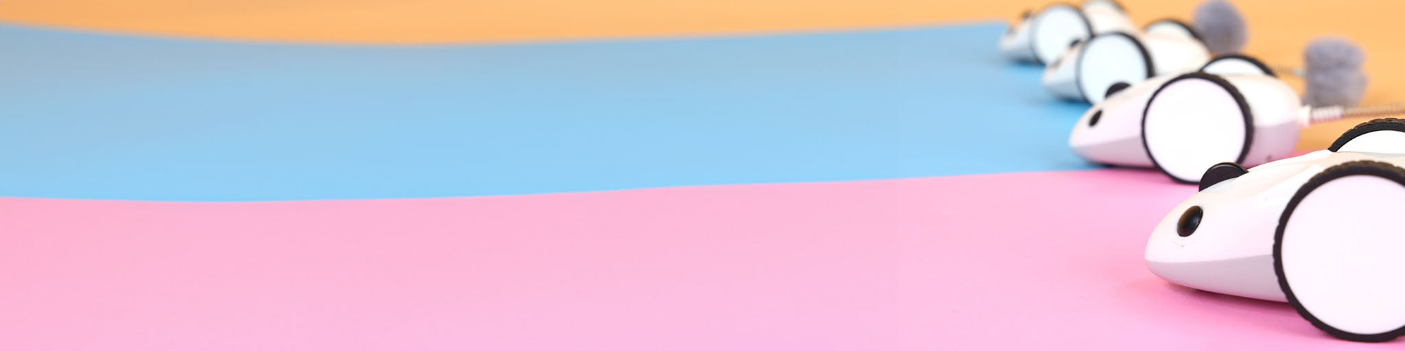 Cat Scratchers & Scratching Posts