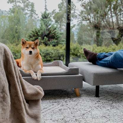 BENCHI Pet Ottomon - One Size