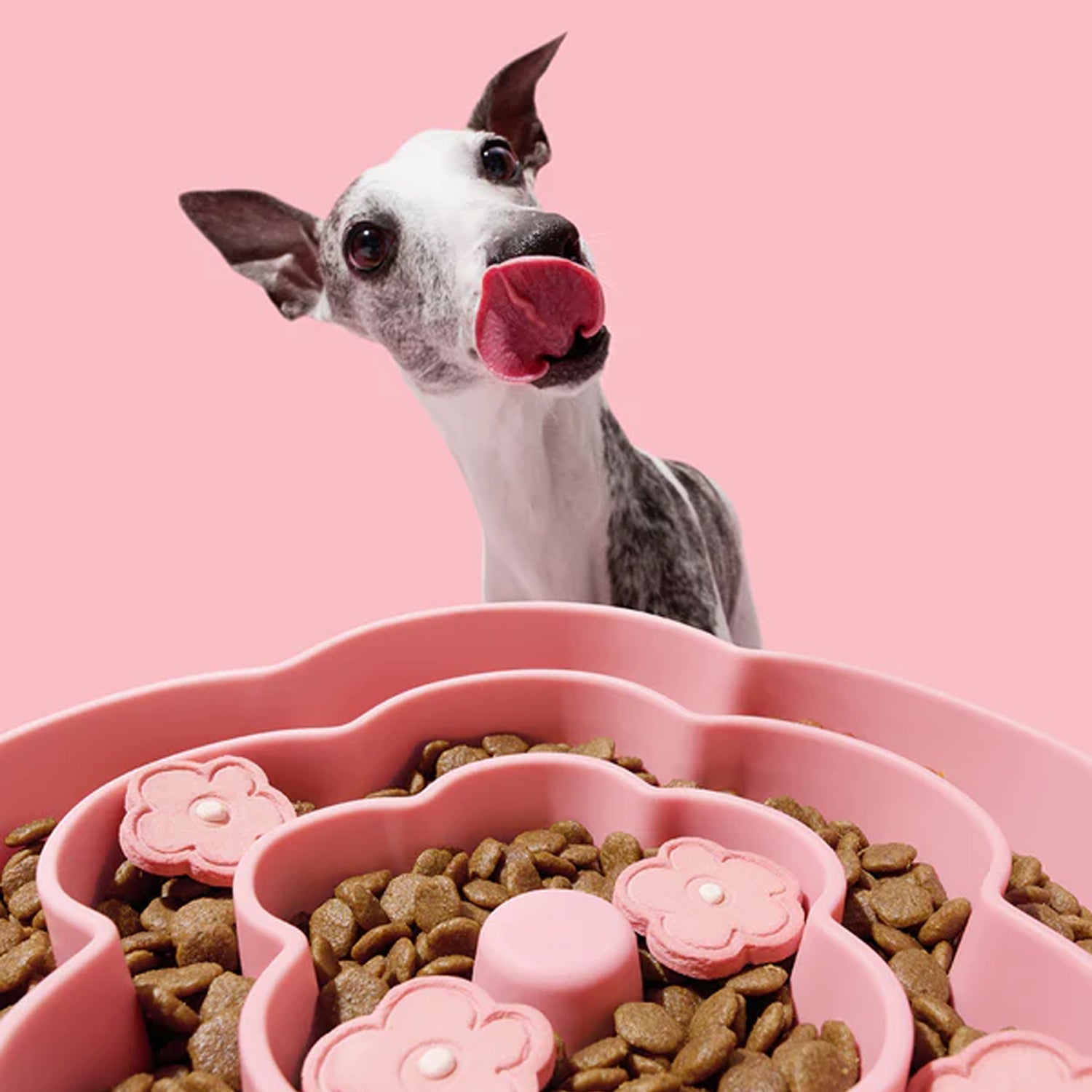 Flora Silicone Pet Slow Feeder for Cats and Dogs