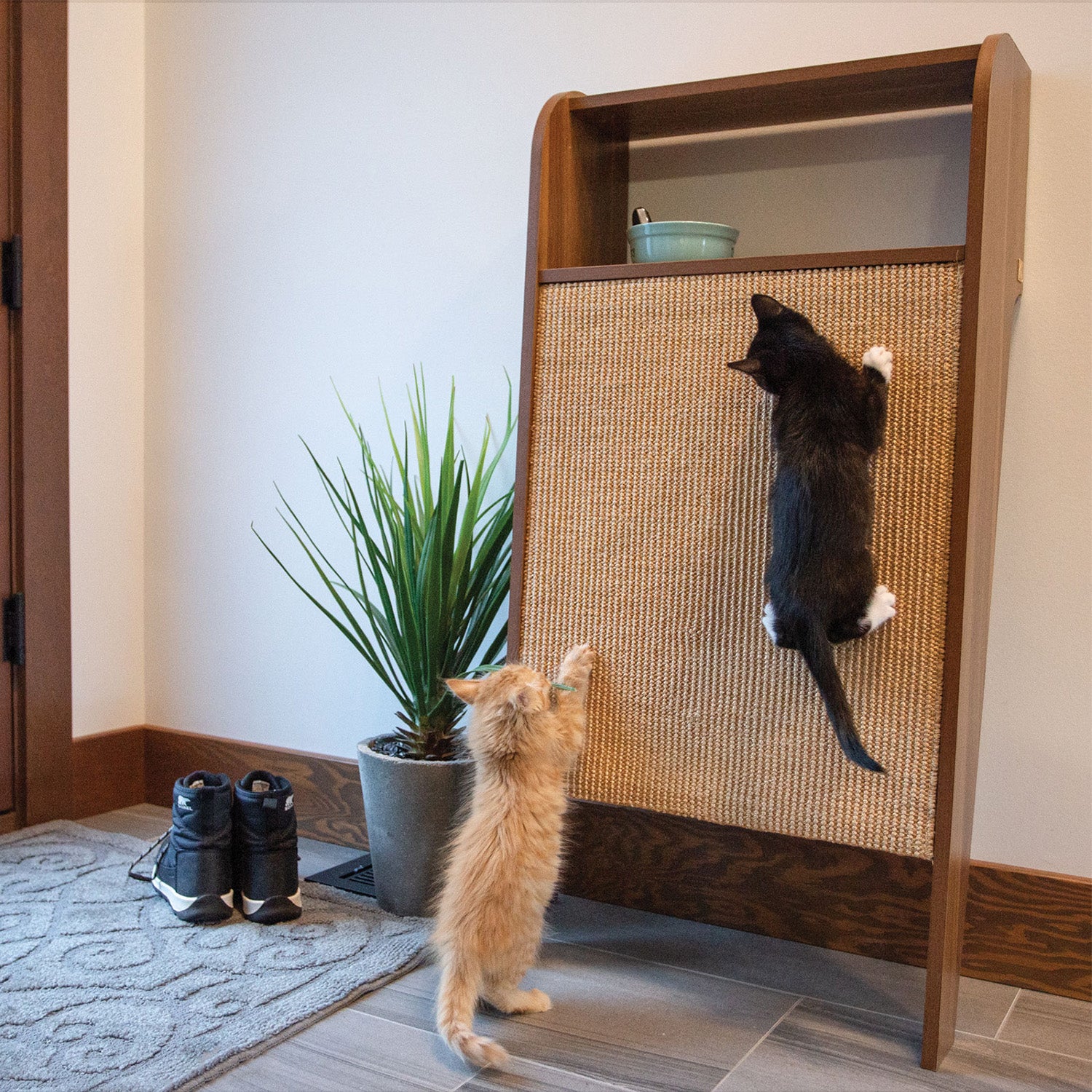 WESLEY Wall Cat Scratcher with Shelf - One Size