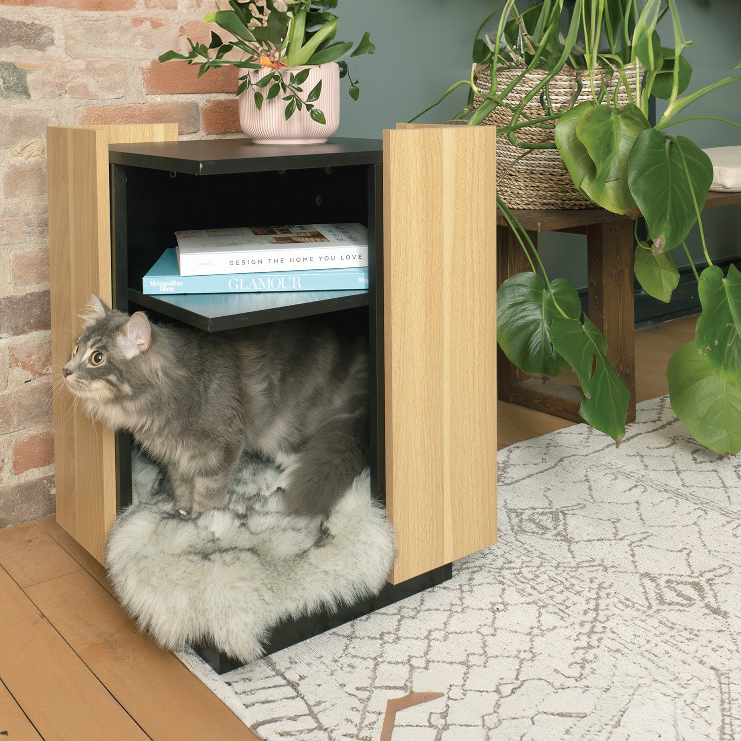 LEO Shelf with Pet Lounge - One Size