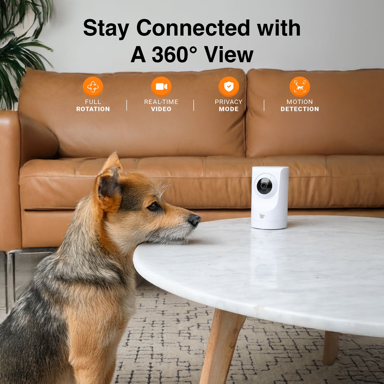 Purrsight 360° Smart App Pet Camera with Night Vision and 2 Way Audio