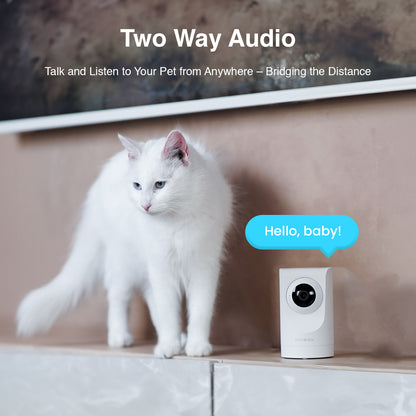 Purrsight 360° Smart App Pet Camera with Night Vision and 2 Way Audio 3pc Bundle