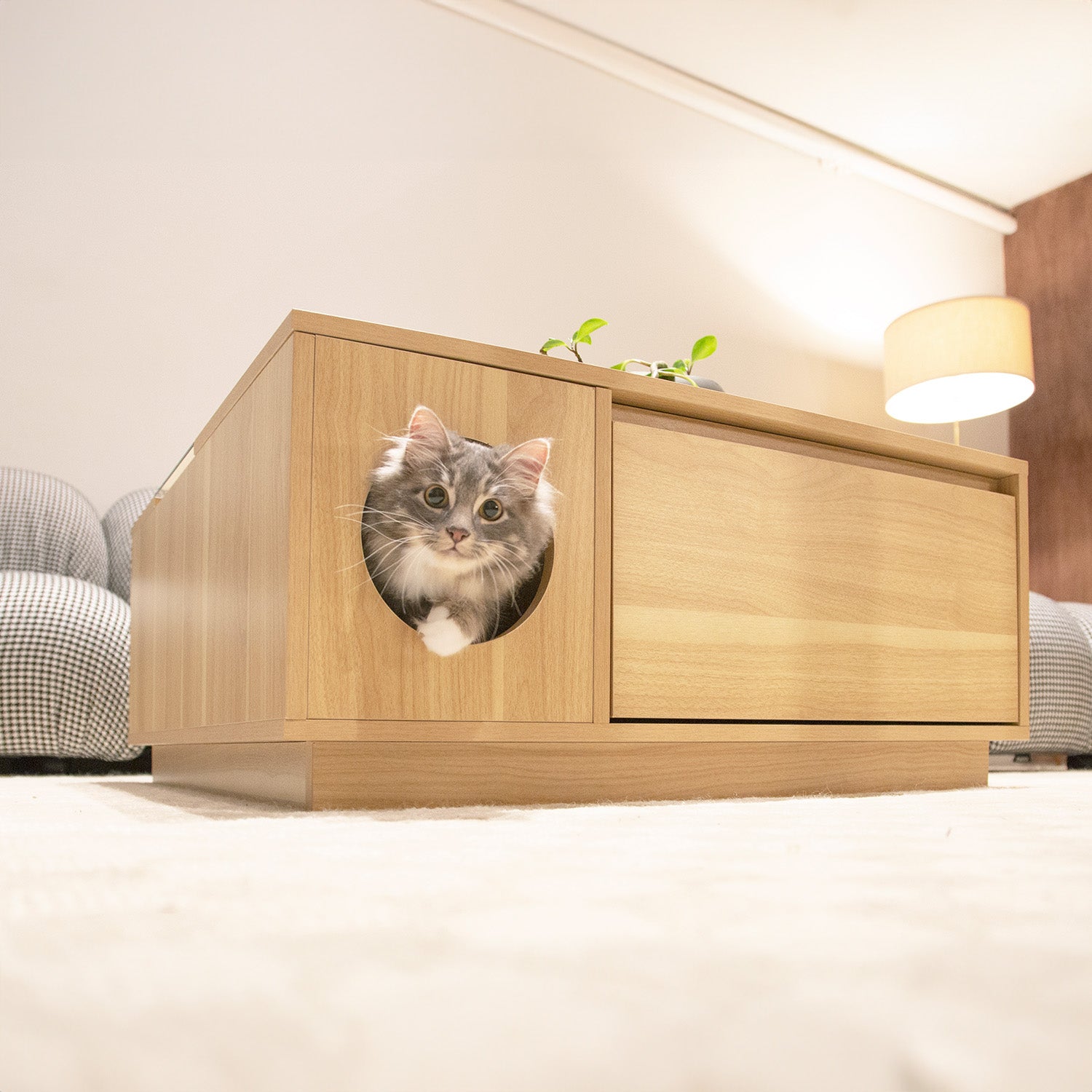 COCO Cat Play and Coffee Table - One Size